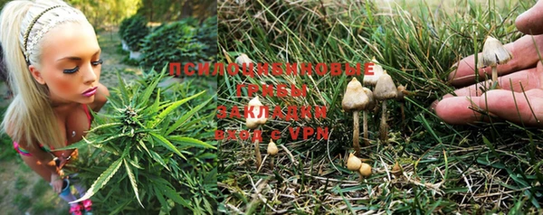 трава Кукмор