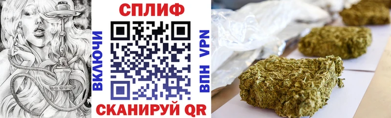 Купить  Кунгур  Канабис ГИДРОПОН 